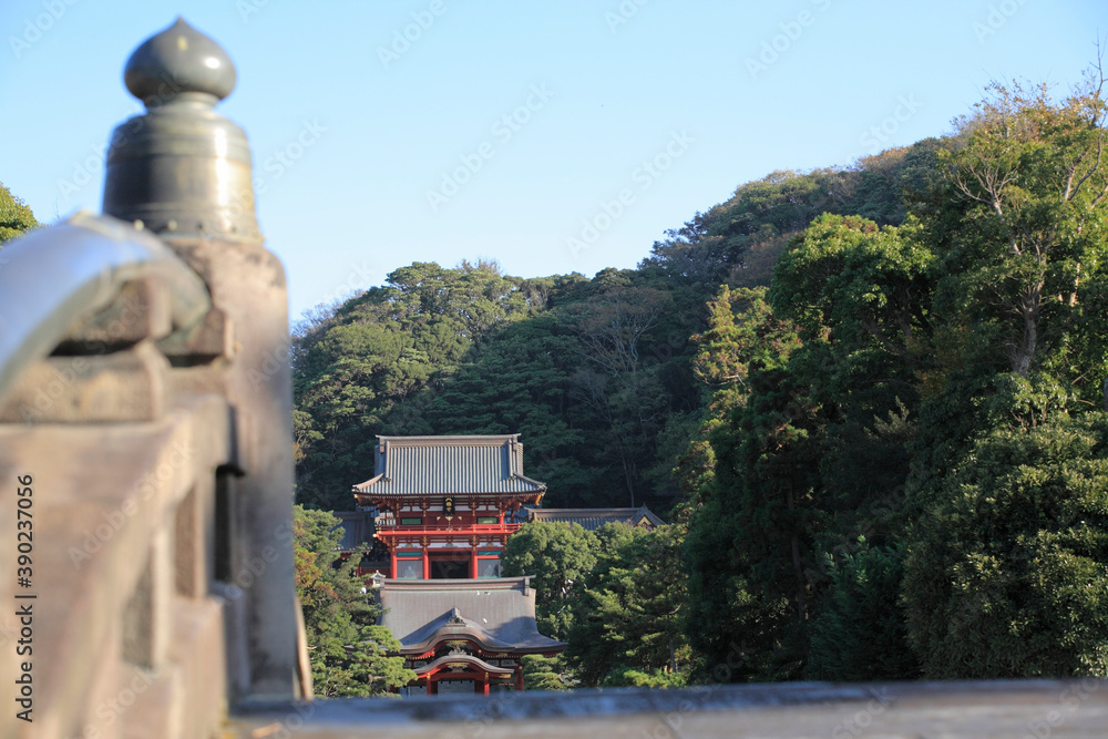 Fototapeta premium 鶴岡八幡宮 本宮 舞殿