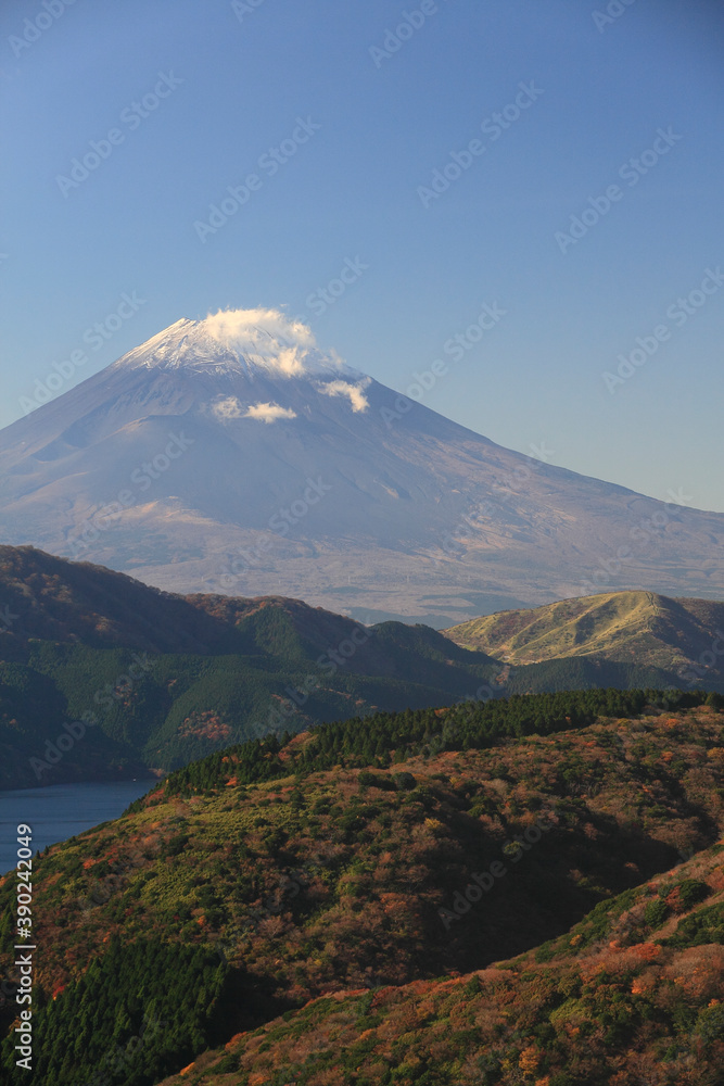 Obraz premium 芦ノ湖と富士山