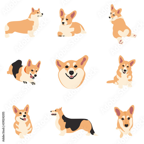 Vector image. The illustration shows different dogs in different breeds are hand-drawn. Suitable for coloring pages, pet shop or pet lovers.