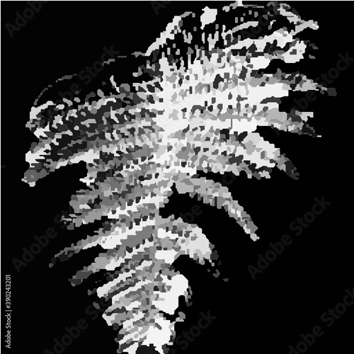 fern drawing abstract view