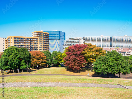 マンションが建ち並ぶ郊外の住宅地 © oben901