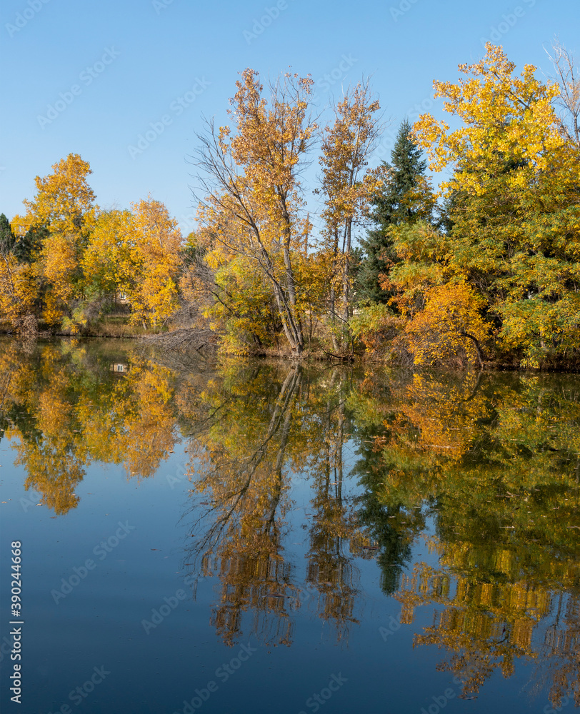 Colorful Fall Trees with Reflections in Lake Colorful Fall Trees with Reflections in Lake