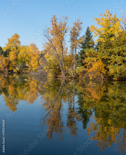 Colorful Fall Trees with Reflections in Lake