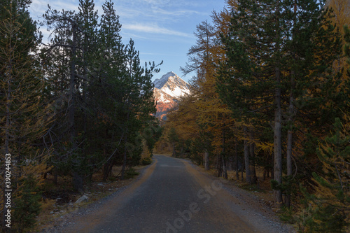 Dirt road in the autumn forest to the snowy mountain peak