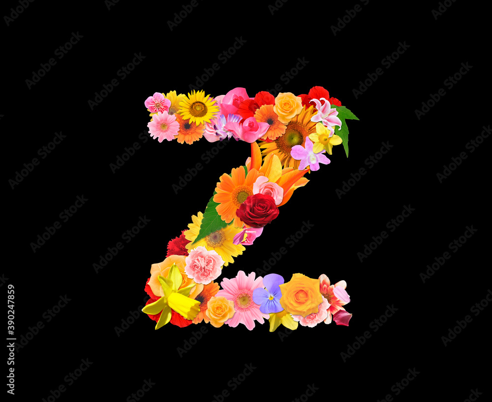 花の文字,z 花の文字,z