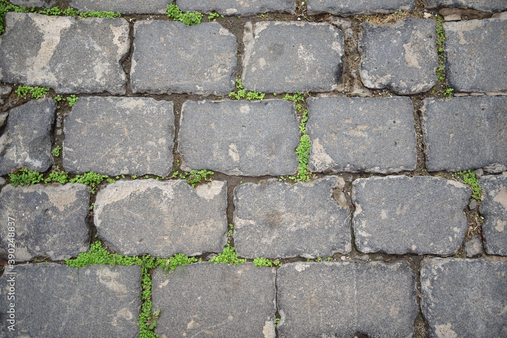 paving stones close-up with grass paving stones close-up with grass