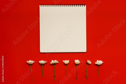 Mockup empty sketchbook on a bright red background. White daisies on red trending color backdrop. Top view.