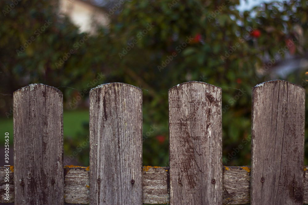 old wooden fence in autumn in countryside with unfocused colorful leaves on the background old wooden fence in autumn in countryside with unfocused colorful leaves on the background