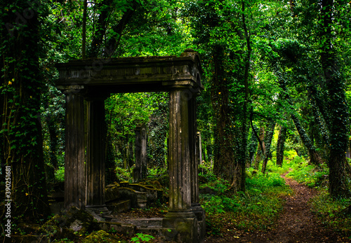 gate in the woods © Piotr