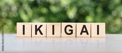 The word ikigai written on a wooden block on the table. photo