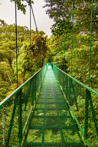 Fototapeta Naklejka Na Ścianę i Meble -  A walk through the clouds over a bridge above the canopy of the up to 60 meter tall trees of the rainforest of Costa Rica