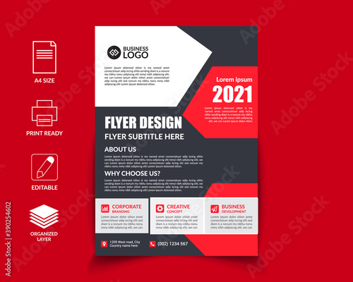 Business flyer design template vector and editable