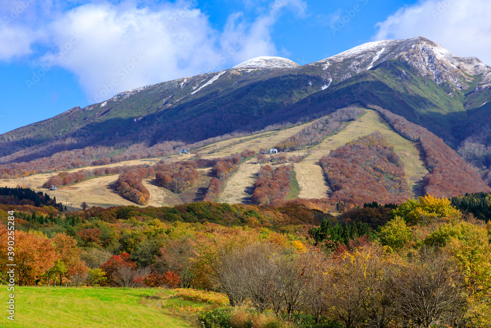 Obraz premium 秋田駒ヶ岳 11月 初雪 田沢湖高原