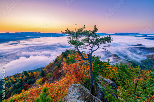 The beautiful autumn sea of clouds sunrise of Singanense of China. photo