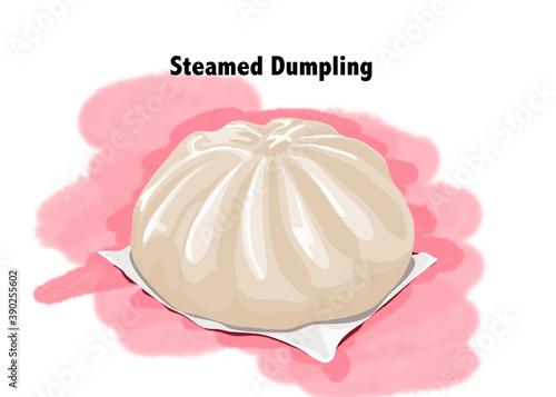 Steamed dumpling bun isolated. Realistic hand drawing vector illustration.