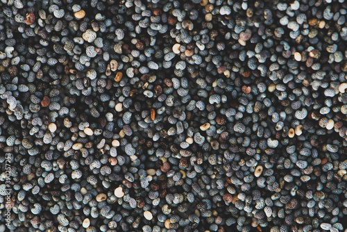 Poppy seeds background. Top view. Close up.