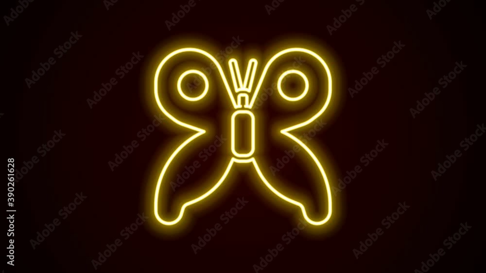 Glowing neon line Butterfly icon isolated on black background. 4K Video motion graphic animation Glowing neon line Butterfly icon isolated on black background. 4K Video motion graphic animation