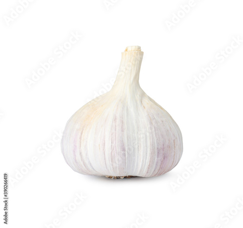 Fresh organic garlic bulb on white background