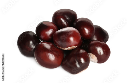 Wallpaper Mural Pile of horse chestnuts isolated on white Torontodigital.ca