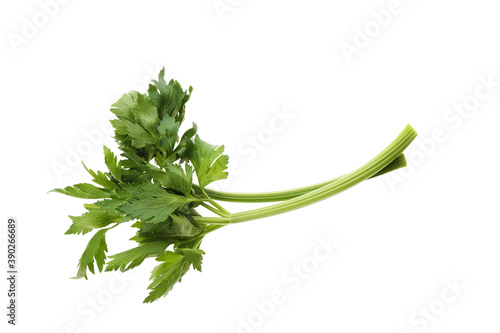 Fresh green celery stems with leaves isolated on white