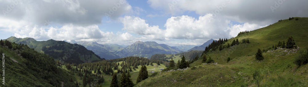 Alpine Landscape In Summer