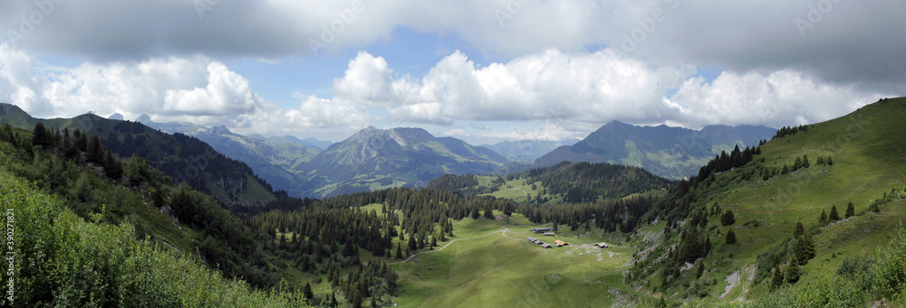 Fototapeta premium Mountain View