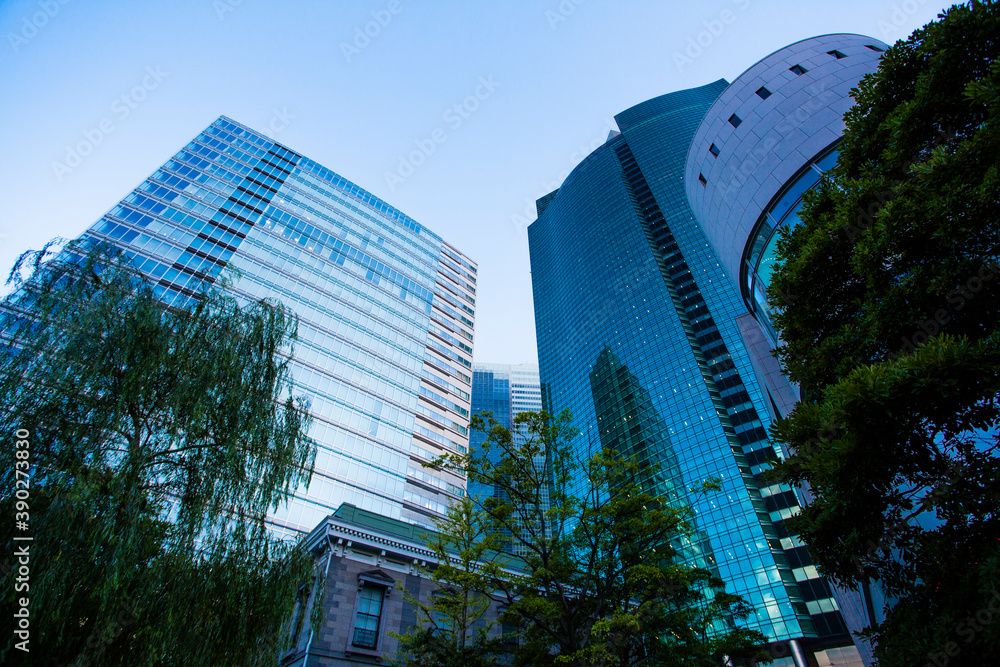 Fototapeta premium 汐留のビル群