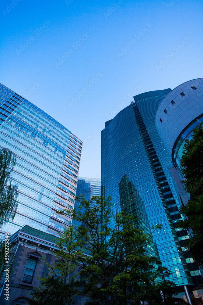 Obraz premium 汐留のビル群