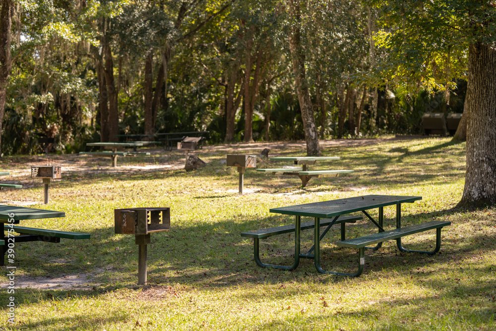 Picnic tables in the park Ocala National Forest