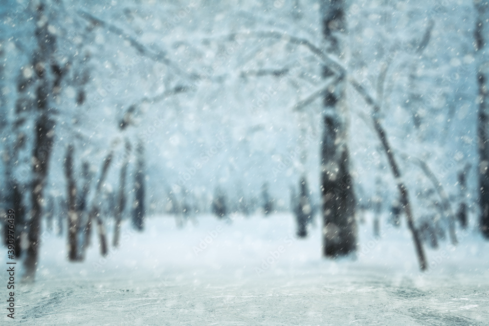 winter background, blured forest winter background, blured forest