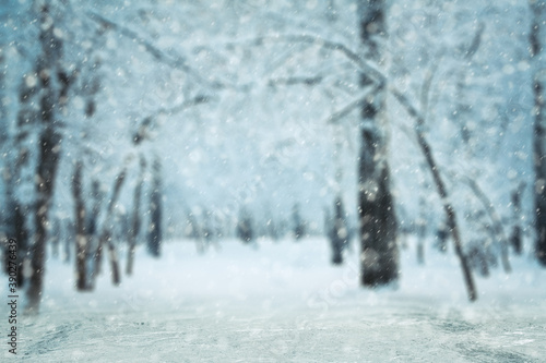 winter background, blured forest