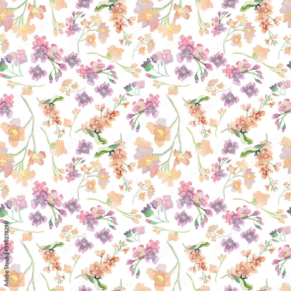 Watercolor floral illustration.Seamless pattern.pink and purple matthiola