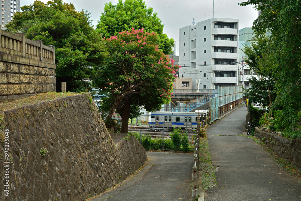 Fényképezés 谷中・御隠殿坂