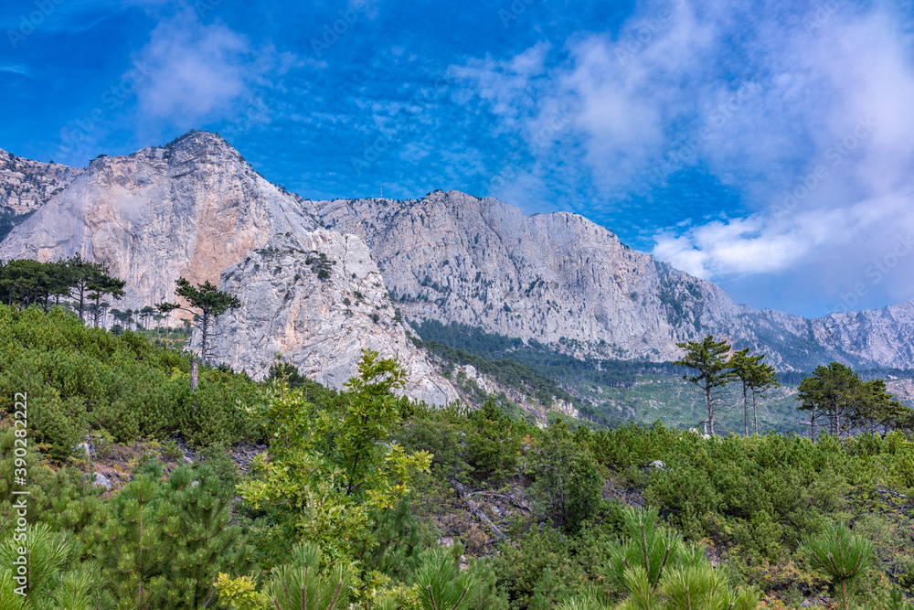 High rocky mountains on blue sky background. Green pine forest on the mountainside.