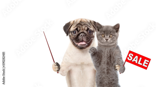 Pug puppy with cat holds sales symbol and points away on empty space. isolated on white background
