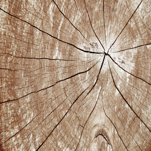 Background wood pattern of broken wood.