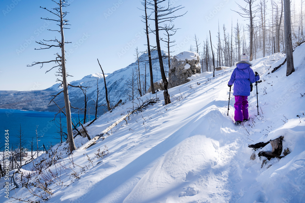 Fototapeta premium A Child hiking in Waterton Lakes National Park after a snowfall along the Bears Hump hiking trail.