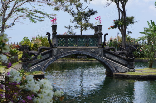 bridge in the park