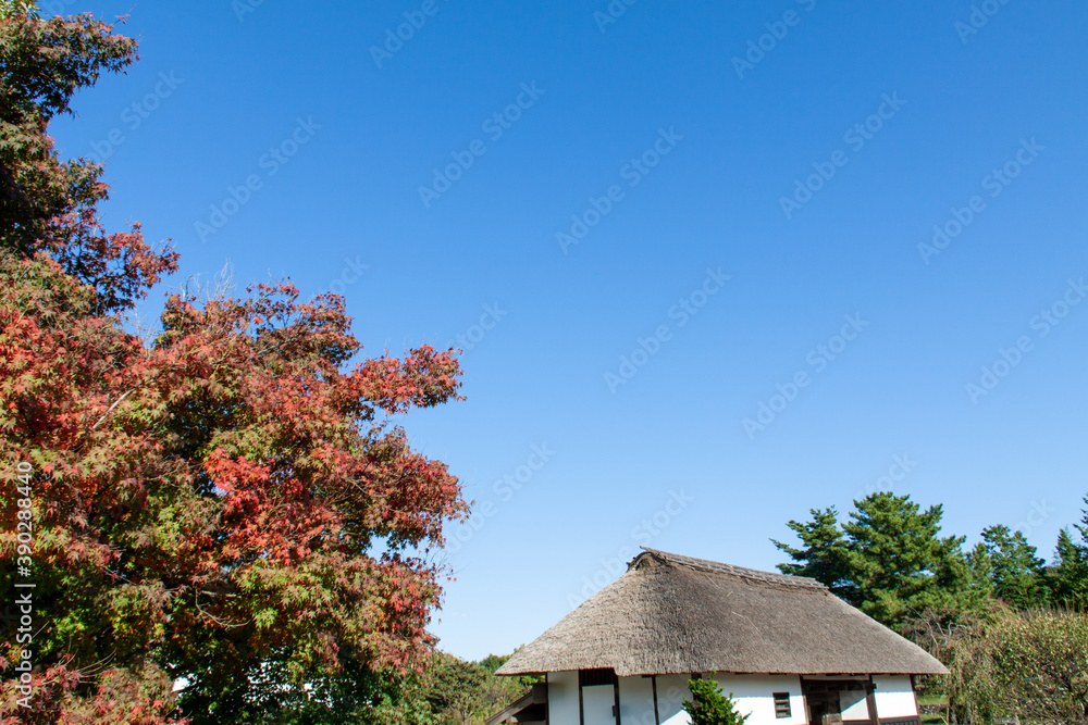 Japanese Thatched Roof House against the Blue Sky Japanese Thatched Roof House against the Blue Sky