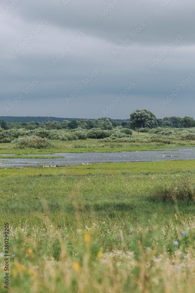 Lake scenery before rain. Dark sky and fresh green field and bushes Lake scenery before rain. Dark sky and fresh green field and bushes