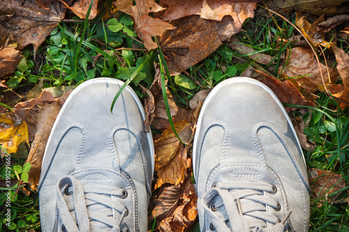 Comfortable gray leather shoes on grass with autumnal leaves © ratmaner