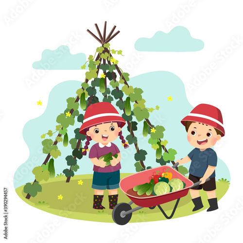 Vector illustration cartoon of a little boy and girl picking vegetables in the garden. Kids doing housework chores at home concept.