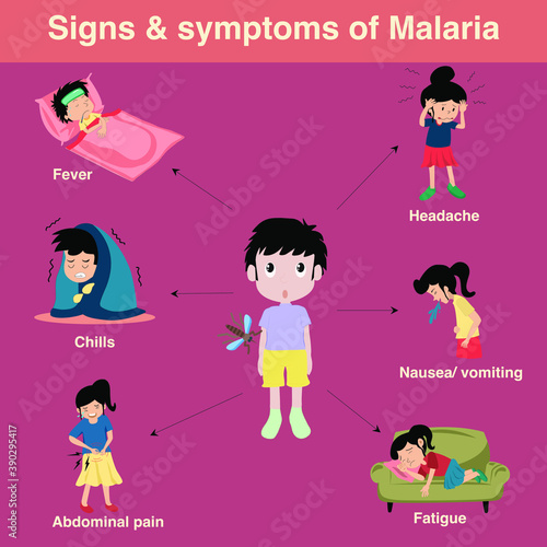Malaria transmitted from mosquito with signs and symptoms of fever headache chills vomiting pain abdomen fatigue weakness with mosquito biting a young boy