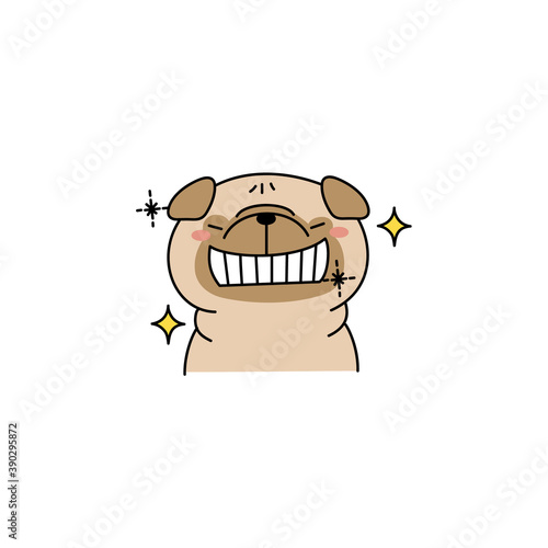 歯がキラキラしているパグ