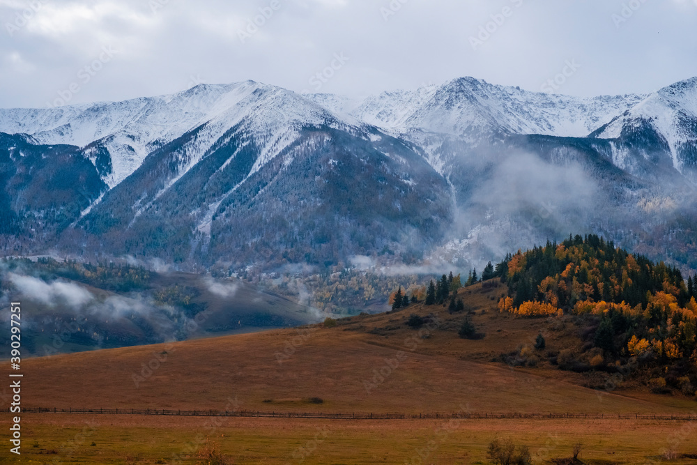 Autumn mountains wiht yellow larches and snow on the top. Autumn forest landscape. Natural background. Katon-Karagay national park in Kazakhstan. Tourism, travel in Kazakhstan concept. Autumn mountains wiht yellow larches and snow on the top. Autumn forest landscape. Natural background. Katon-Karagay national park in Kazakhstan. Tourism, travel in Kazakhstan concept.