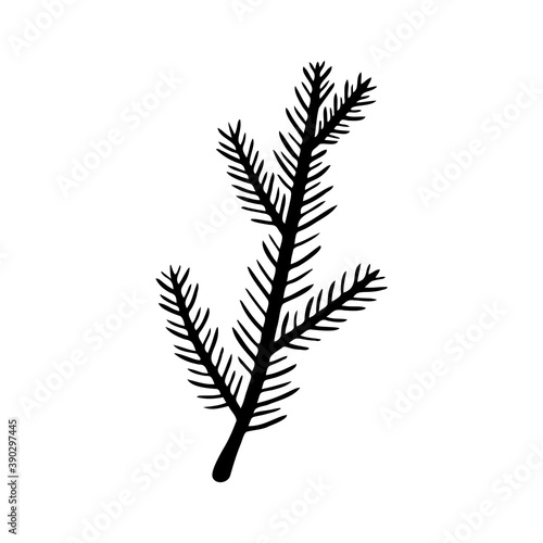 Hand drawn spruce branch isolated on a white background. Christmas elements. Doodle, simple outline illustration. It can be used for decoration of textile, paper.