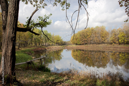 Fototapeta Naklejka Na Ścianę i Meble -  Lake in the forest