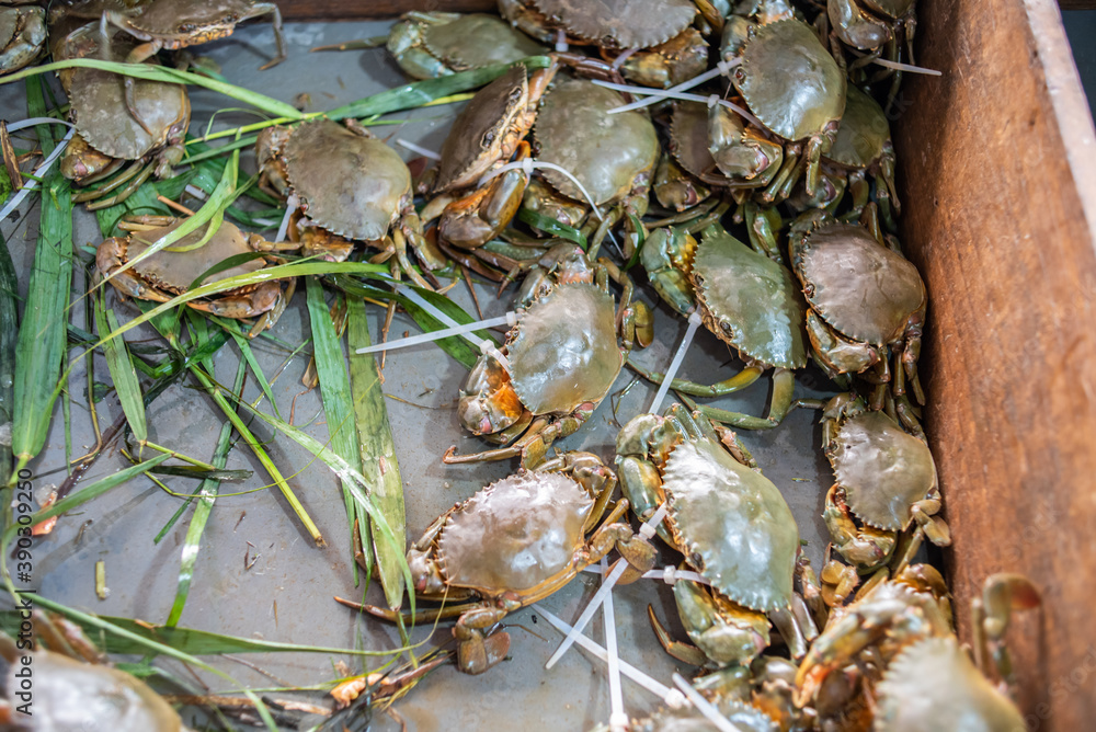Specialty cream crab in Nansha, Guangzhou, China