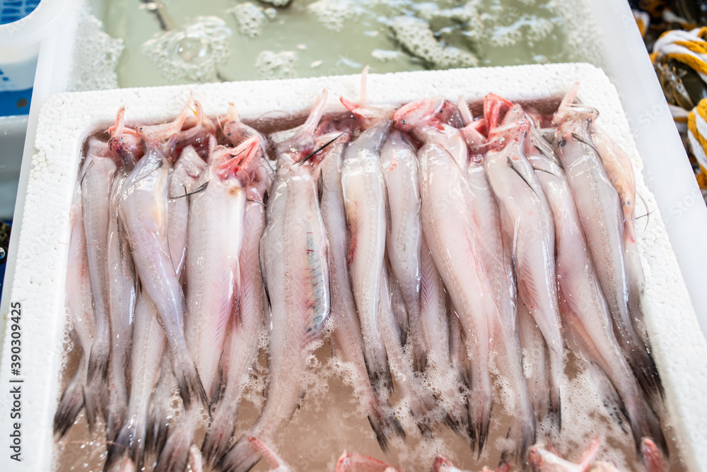 Chilled leading fish in the aquatic market Chilled leading fish in the aquatic market