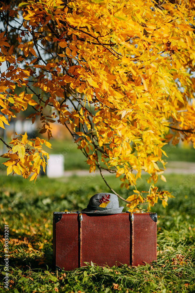 Brown vintage suitcase with felt haton it in autumn forest. Leather suitcase with hat under the tree. Autumn nature, yellow and red foliage.